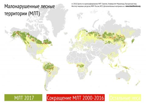 IFL_2017_infographic_rus