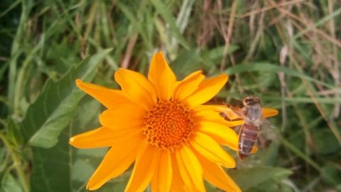 4c10118f-ec41-4e0f-8f26-c652a25a3598