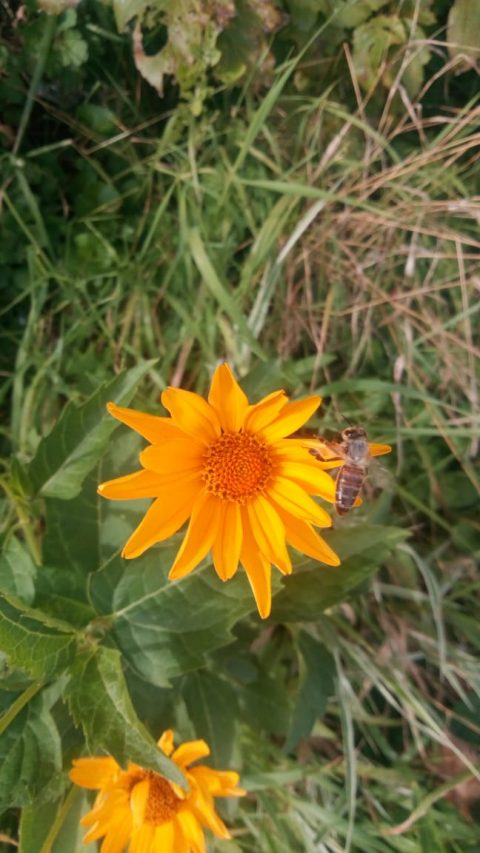 4c10118f-ec41-4e0f-8f26-c652a25a3598