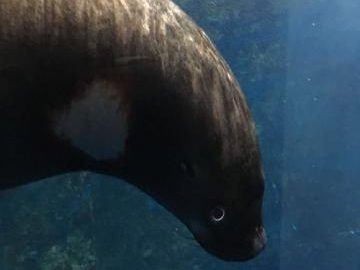 ec4660fd-1e2f-42a8-a7cd-1a8ca2dc6232