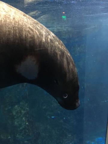 ec4660fd-1e2f-42a8-a7cd-1a8ca2dc6232