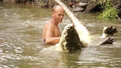 38-af511c81bb0b79c5423469d9fc6665f2