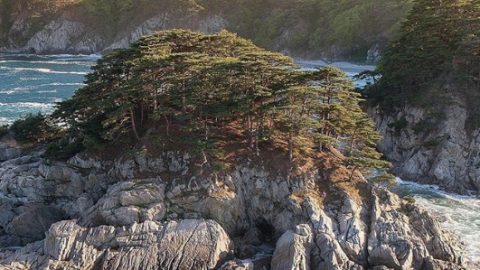 Томящегося сердца