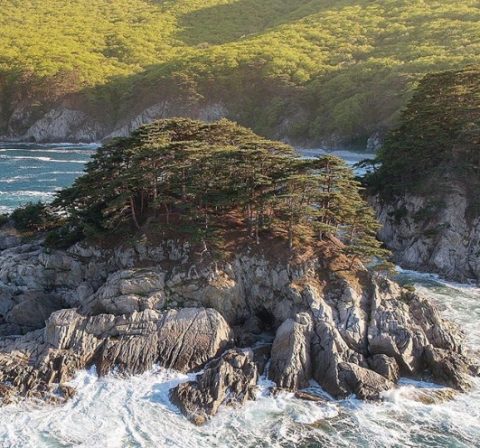 Томящегося сердца