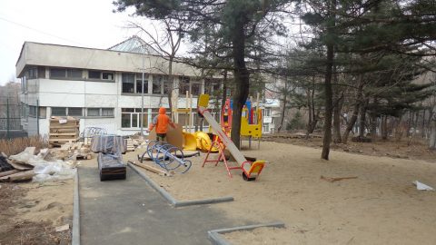 под соснами - копия