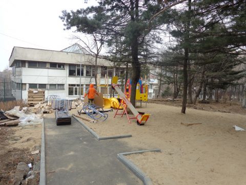 под соснами - копия