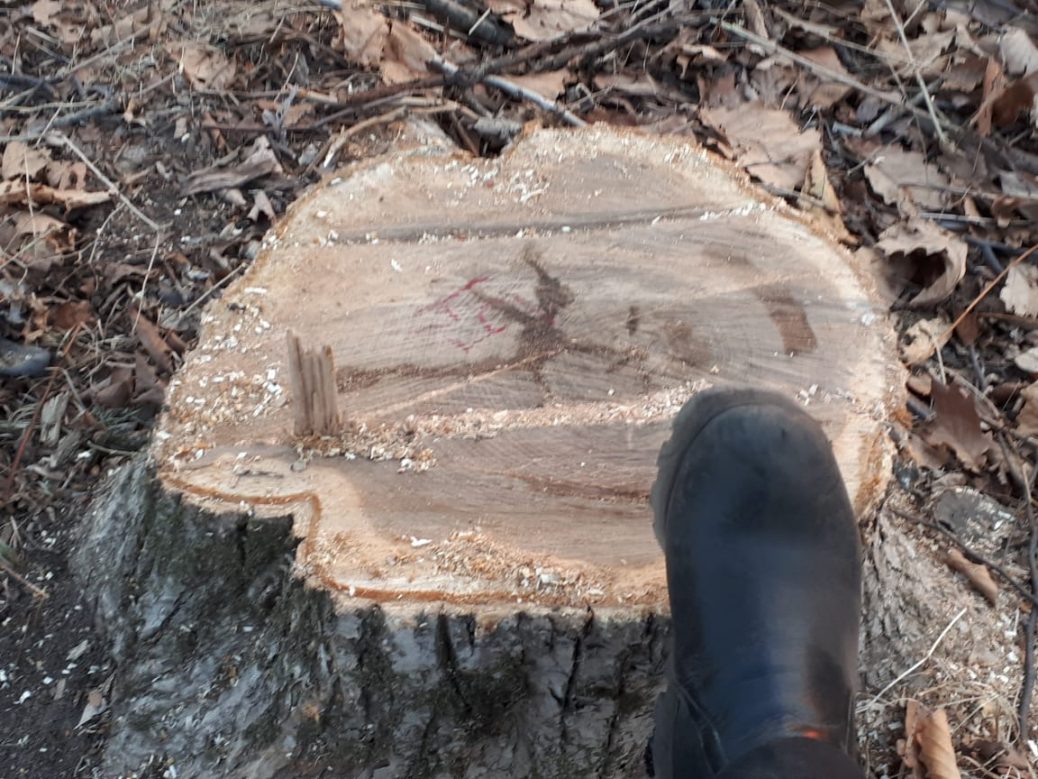 3a73594f-15d1-4871-9adb-a8845adade70