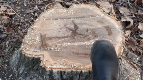 3a73594f-15d1-4871-9adb-a8845adade70