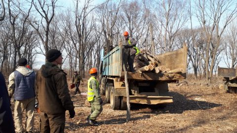 7d6a29ae-6694-44c1-950d-9b90df7a3e3b