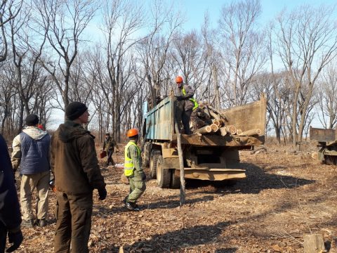 7d6a29ae-6694-44c1-950d-9b90df7a3e3b