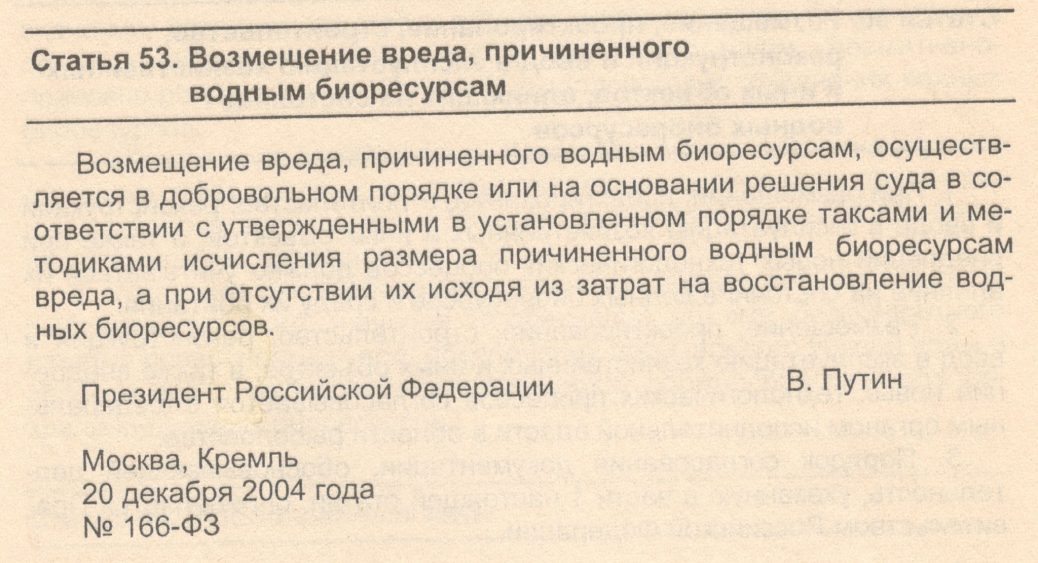 56899718_2663005163771901_9122406697279684608_o