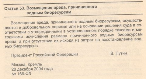 56899718_2663005163771901_9122406697279684608_o