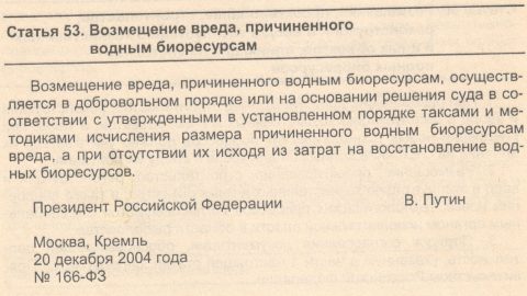 56899718_2663005163771901_9122406697279684608_o