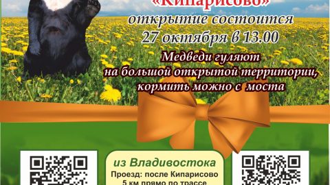 садгород приют медведей А2