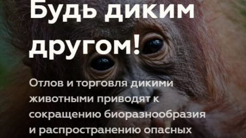 WhatsApp Image 2020-07-18 at 01