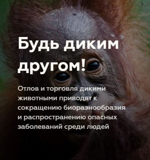 WhatsApp Image 2020-07-18 at 01