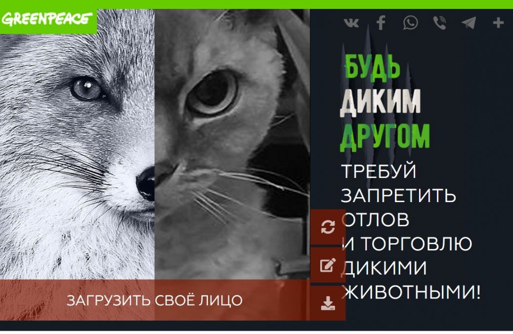 WhatsApp Image 2020-07-21 at 15