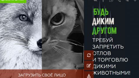 WhatsApp Image 2020-07-21 at 15